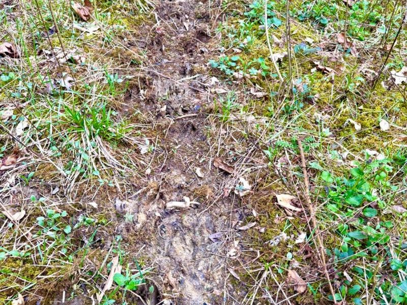 1600 Magee Jones Road, Bratton Twp, OH 45660 Photo 5