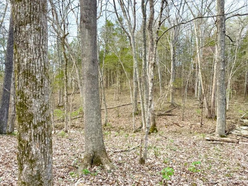 1600 Magee Jones Road, Bratton Twp, OH 45660 Photo 50