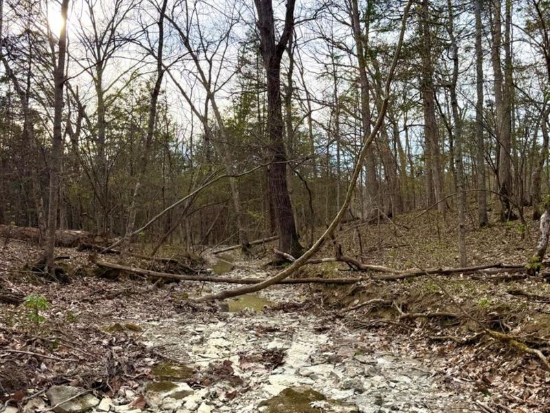 1600 Magee Jones Road, Bratton Twp, OH 45660 Photo 52