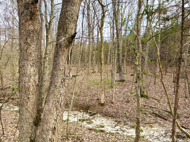 1600 Magee Jones Road, Bratton Twp, OH 45660 Photo 53