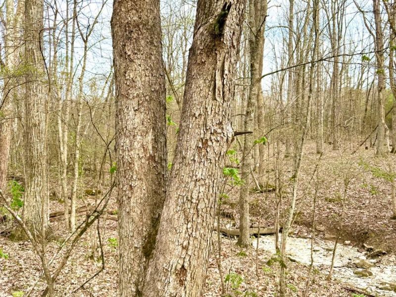 1600 Magee Jones Road, Bratton Twp, OH 45660 Photo 54