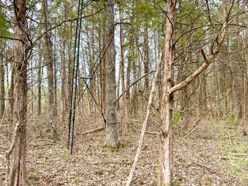 1600 Magee Jones Road, Bratton Twp, OH 45660 Photo 55