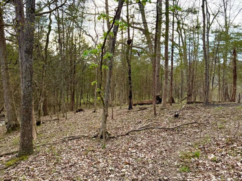 1600 Magee Jones Road, Bratton Twp, OH 45660 Photo 56