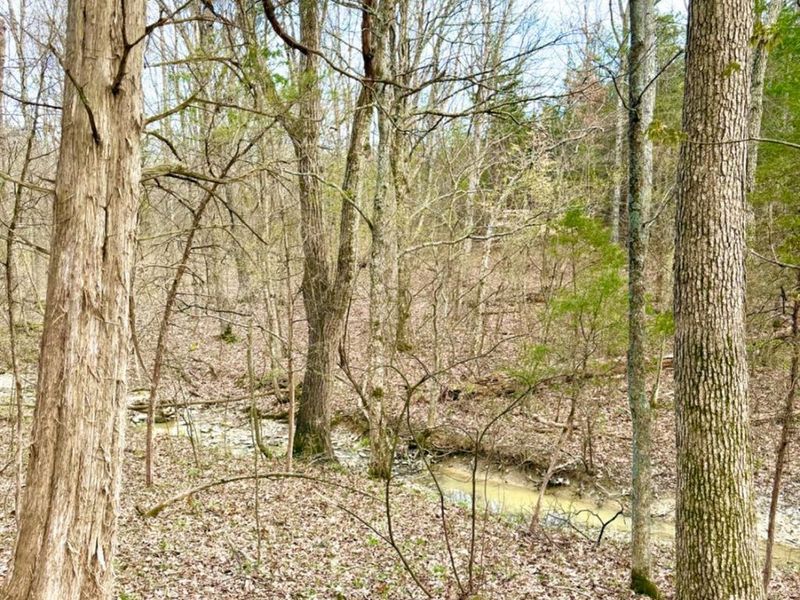 1600 Magee Jones Road, Bratton Twp, OH 45660 Photo 57