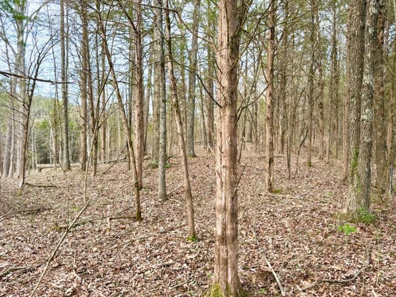 1600 Magee Jones Road, Bratton Twp, OH 45660 Photo 58