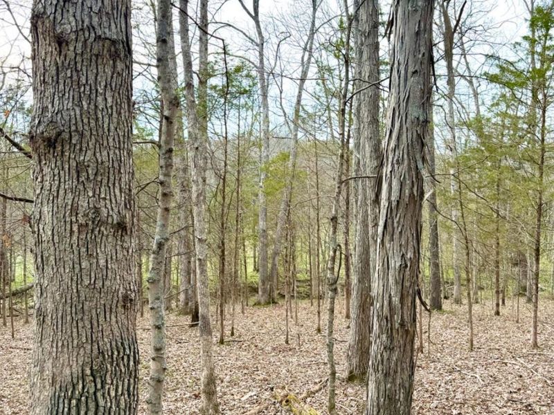 1600 Magee Jones Road, Bratton Twp, OH 45660 Photo 59