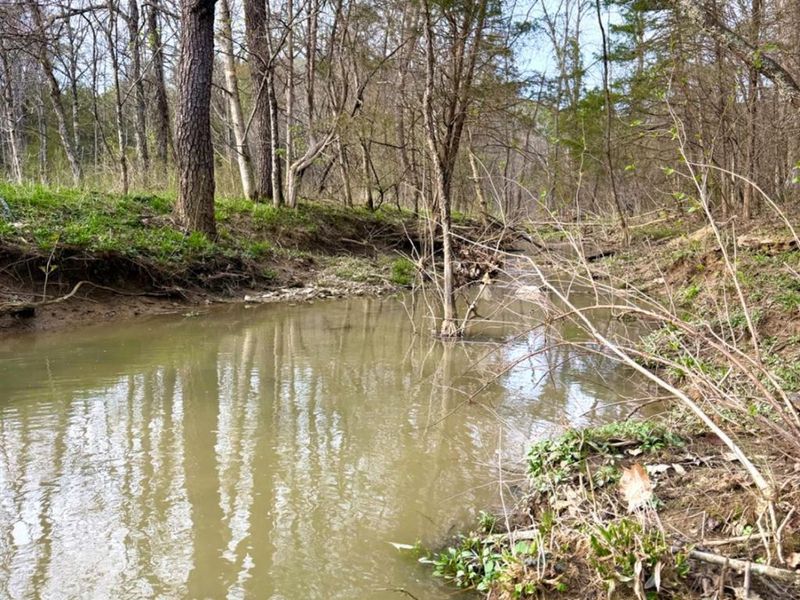 1600 Magee Jones Road, Bratton Twp, OH 45660 Photo 60