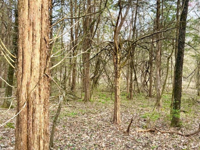 1600 Magee Jones Road, Bratton Twp, OH 45660 Photo 64