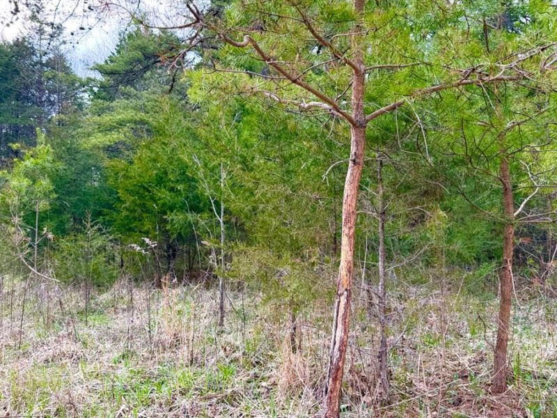 1600 Magee Jones Road, Bratton Twp, OH 45660 Photo 68