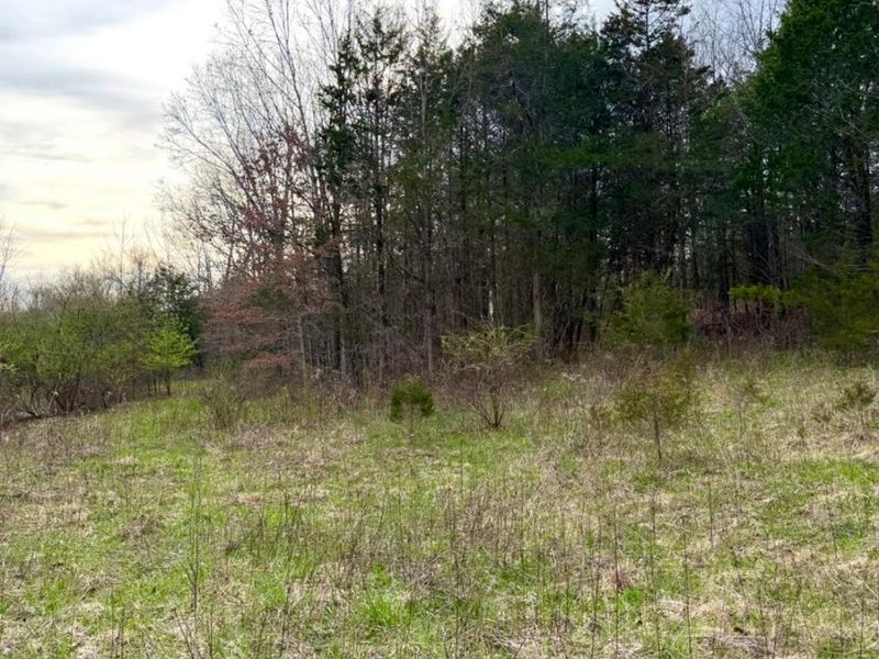 1600 Magee Jones Road, Bratton Twp, OH 45660 Photo 69