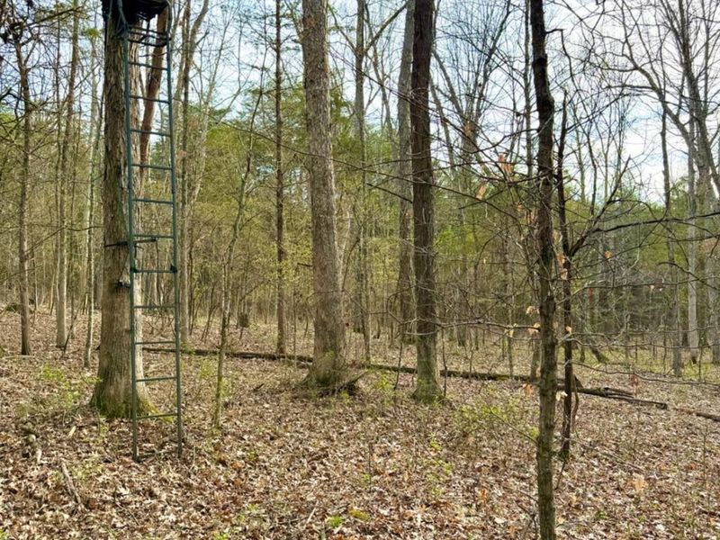 1600 Magee Jones Road, Bratton Twp, OH 45660 Photo 7