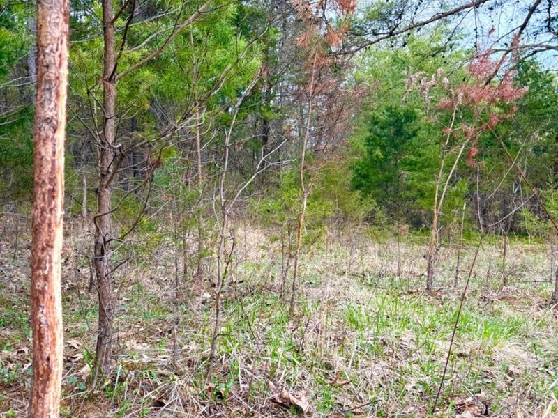 1600 Magee Jones Road, Bratton Twp, OH 45660 Photo 70