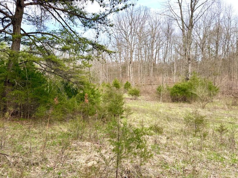 1600 Magee Jones Road, Bratton Twp, OH 45660 Photo 71