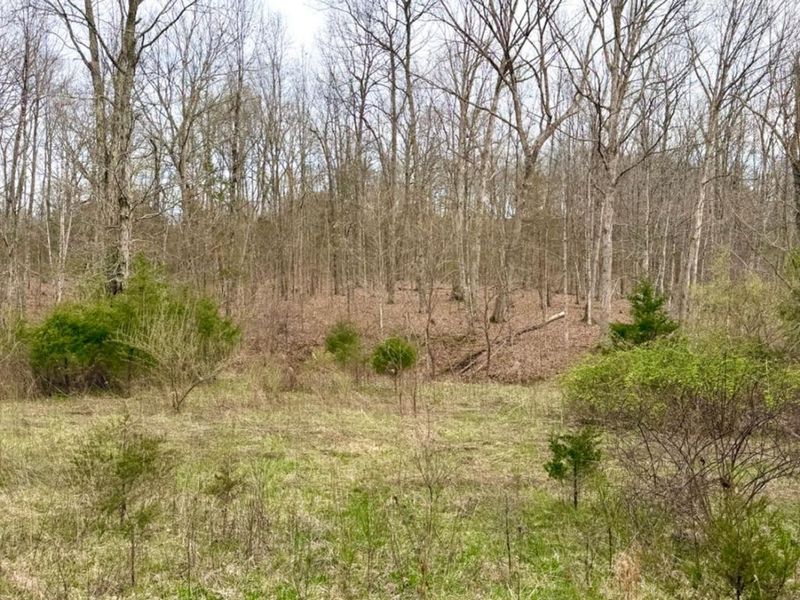 1600 Magee Jones Road, Bratton Twp, OH 45660 Photo 72