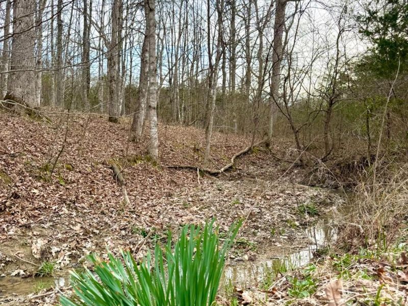 1600 Magee Jones Road, Bratton Twp, OH 45660 Photo 73