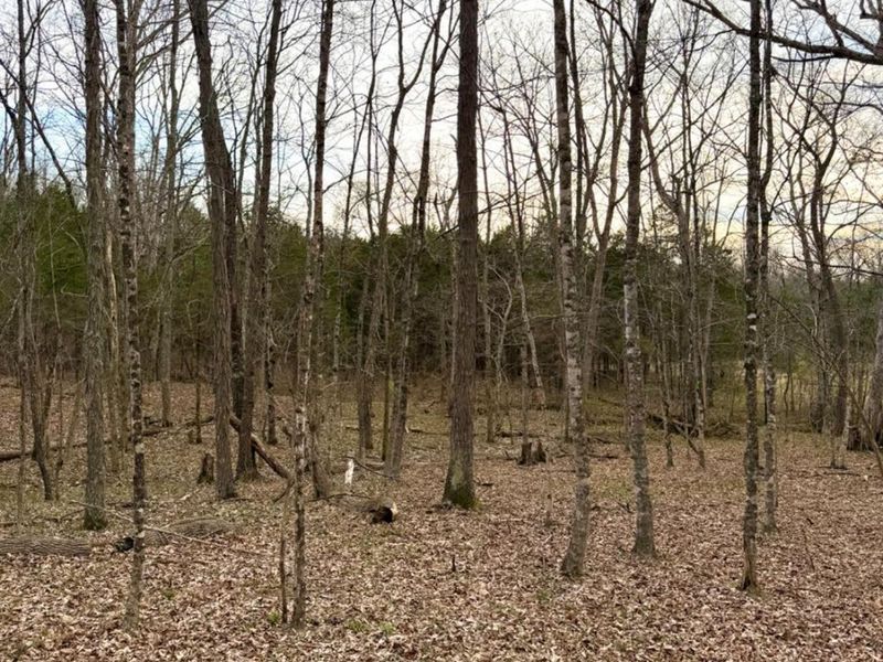 1600 Magee Jones Road, Bratton Twp, OH 45660 Photo 77