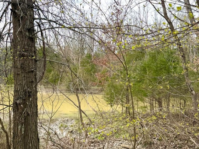 1600 Magee Jones Road, Bratton Twp, OH 45660 Photo 78