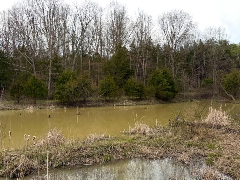 1600 Magee Jones Road, Bratton Twp, OH 45660 Photo 81