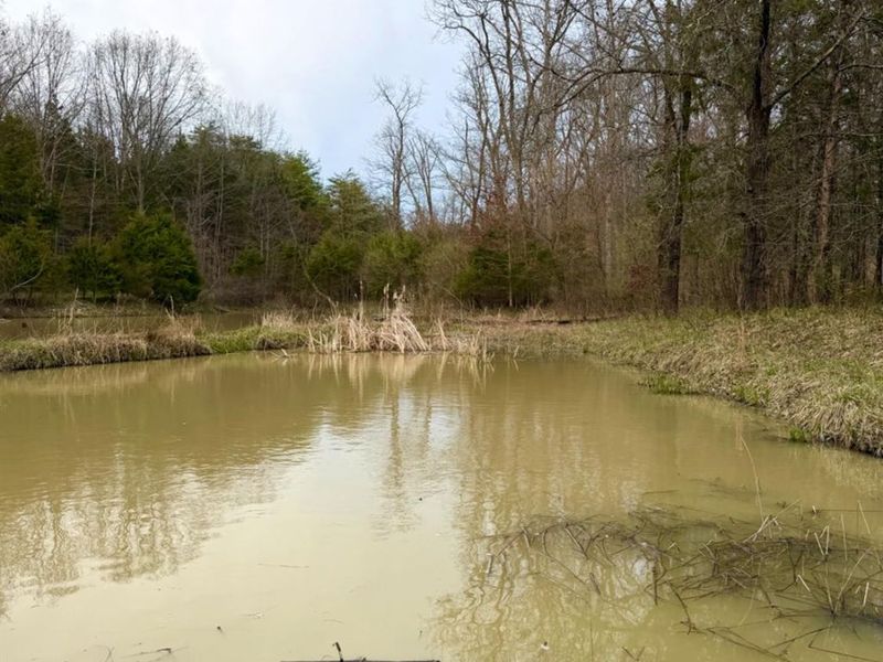 1600 Magee Jones Road, Bratton Twp, OH 45660 Photo 82