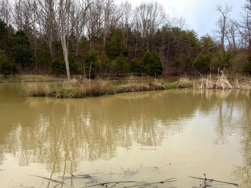 1600 Magee Jones Road, Bratton Twp, OH 45660 Photo 83