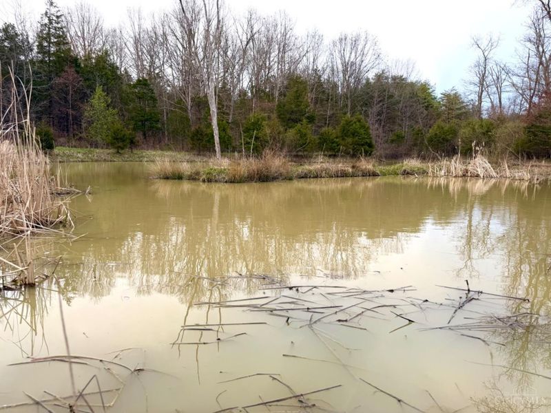 1600 Magee Jones Road, Bratton Twp, OH 45660 Photo 84