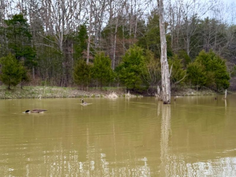 1600 Magee Jones Road, Bratton Twp, OH 45660 Photo 85