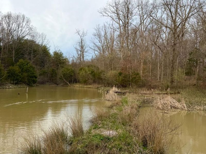 1600 Magee Jones Road, Bratton Twp, OH 45660 Photo 86