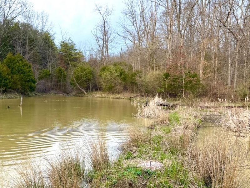 1600 Magee Jones Road, Bratton Twp, OH 45660 Photo 87