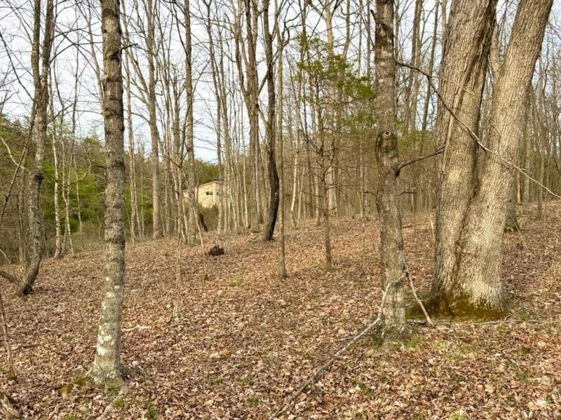 1600 Magee Jones Road, Bratton Twp, OH 45660 Photo 89