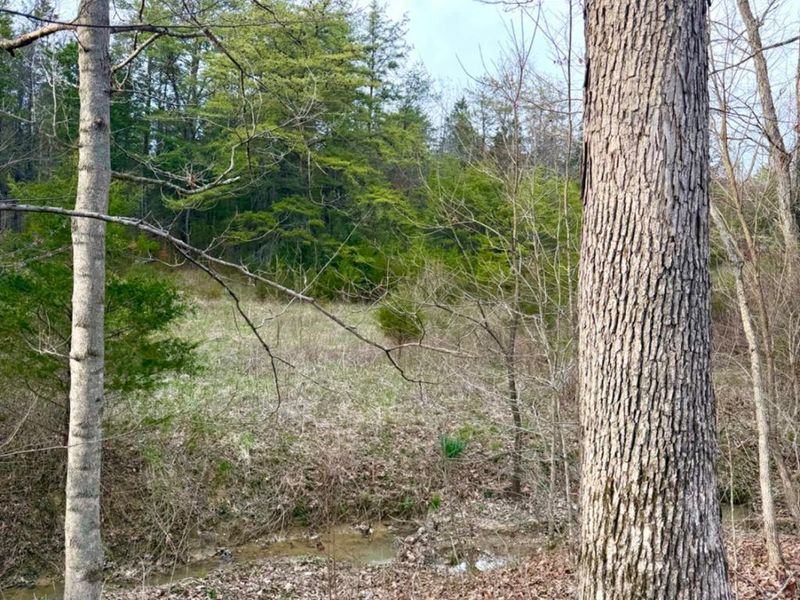 1600 Magee Jones Road, Bratton Twp, OH 45660 Photo 90