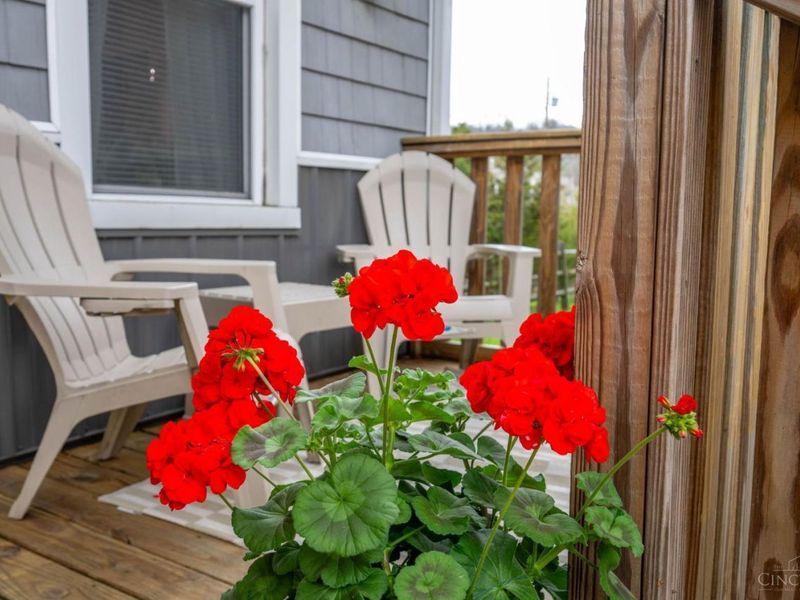 4399 Virginia Avenue, Cincinnati, OH 45223 Photo 3