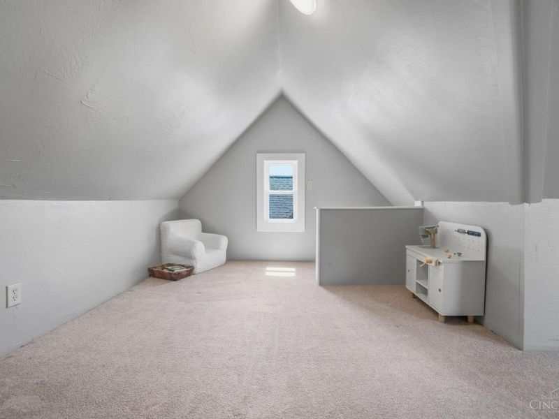 1317 Grace Avenue, Cincinnati, OH 45208 Photo 48