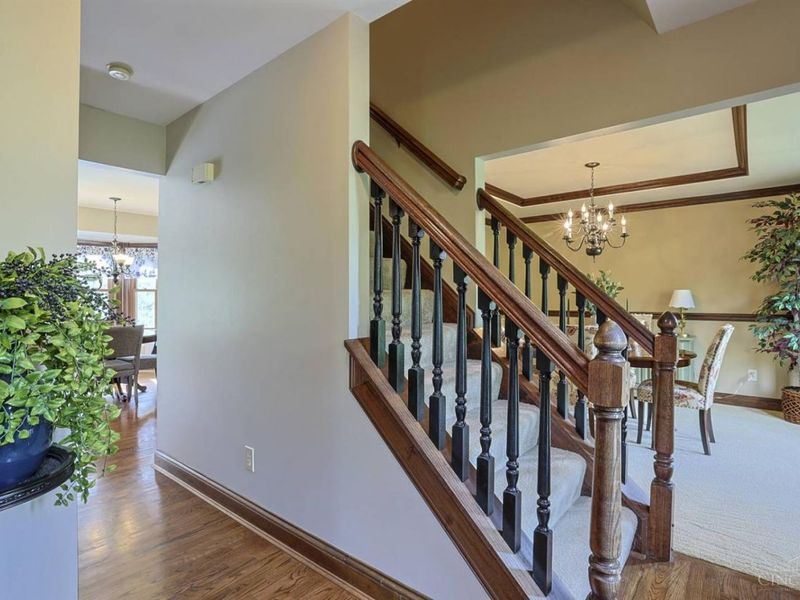 1236 Hickorylake Drive, Delhi Twp, OH 45233 Photo 5