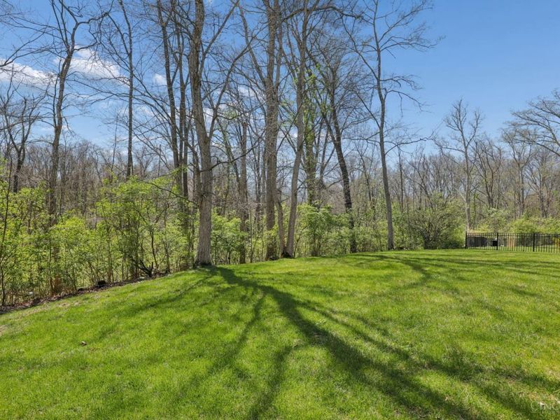 431 Trailview Court, Anderson Twp, OH 45244 Photo 55