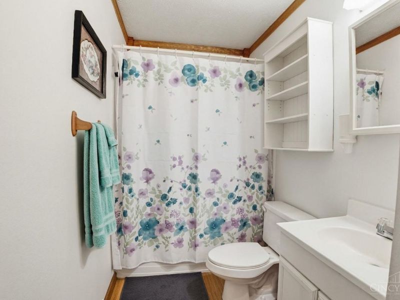 301 Ilene Avenue, South Lebanon, OH 45065 Photo 18