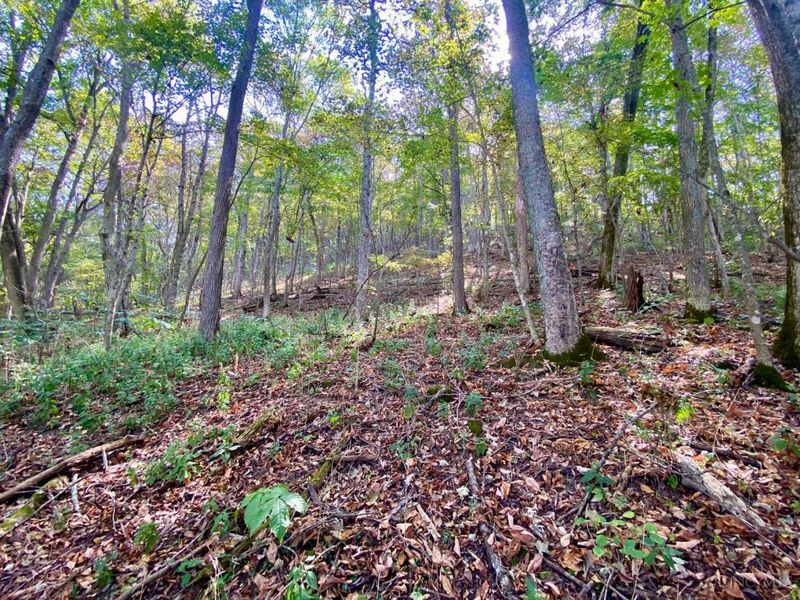 ac Eagle Creek Road, Huntington Twp, OH 45167 Photo 7