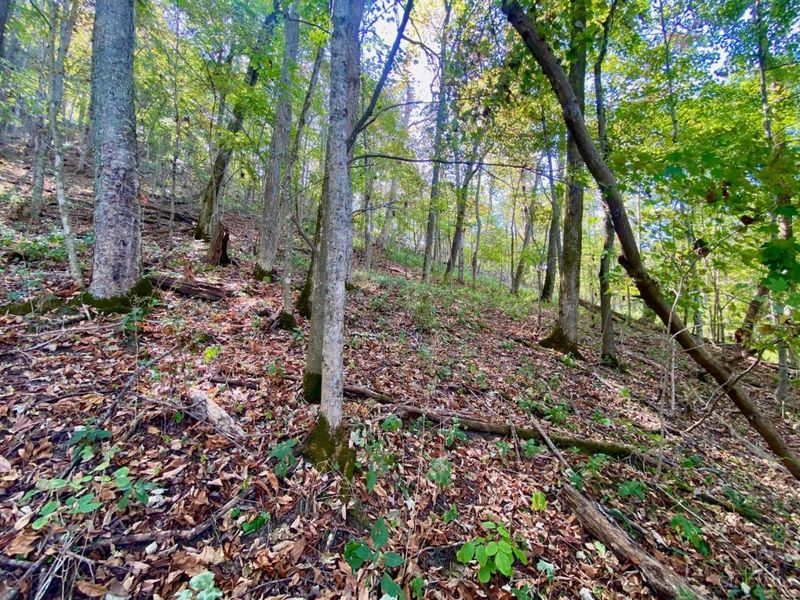 ac Eagle Creek Road, Huntington Twp, OH 45167 Photo 8