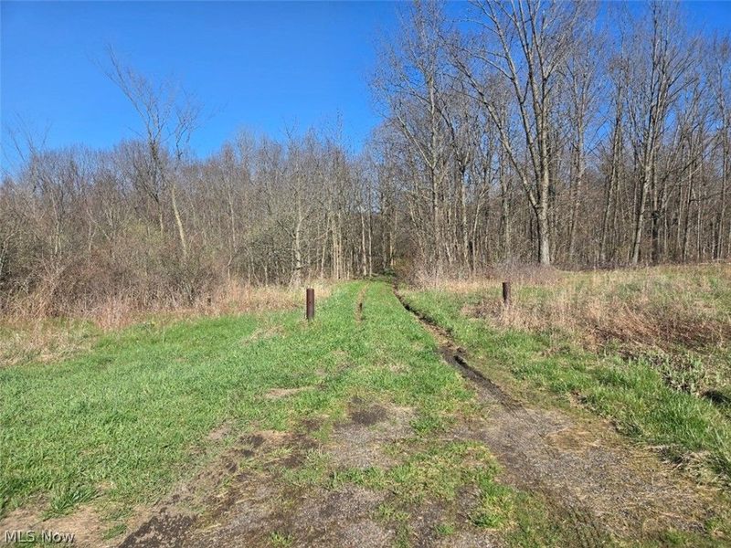 11154 Shetler Avenue SW, Bolivar, OH 44612 Photo 2