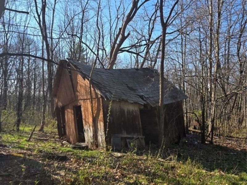 11154 Shetler Avenue SW, Bolivar, OH 44612 Photo 5