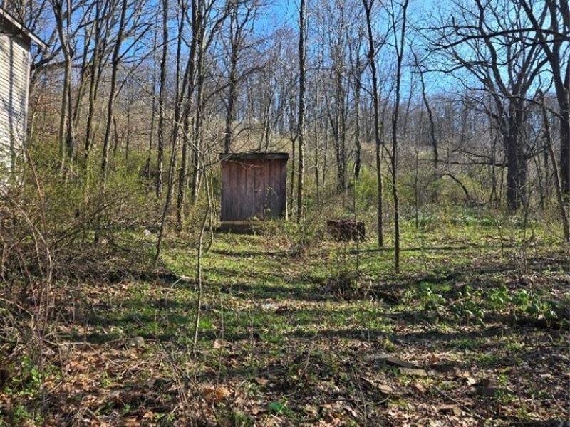 11154 Shetler Avenue SW, Bolivar, OH 44612 Photo 6