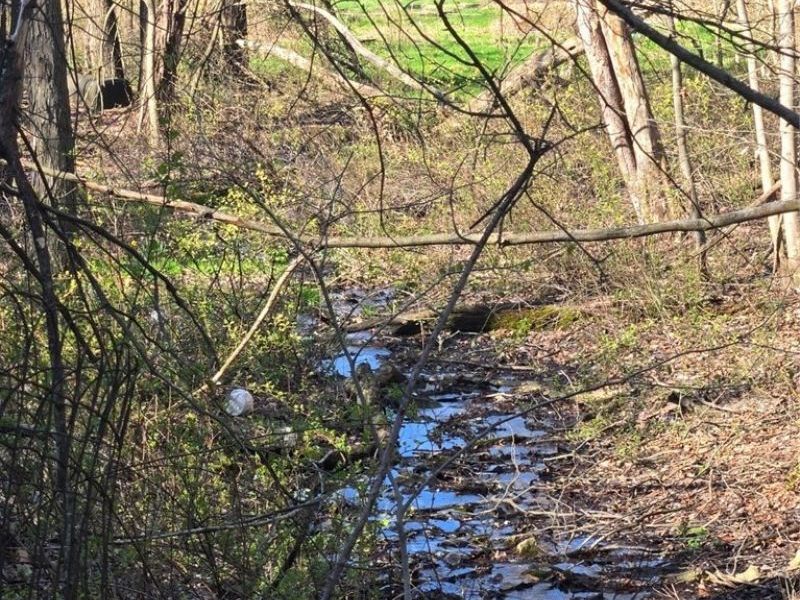 11154 Shetler Avenue SW, Bolivar, OH 44612 Photo 11