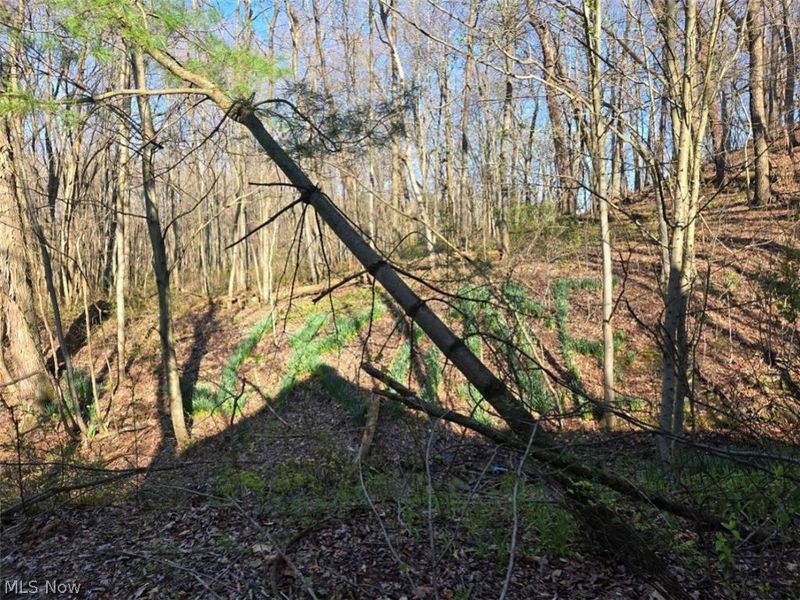 11154 Shetler Avenue SW, Bolivar, OH 44612 Photo 13