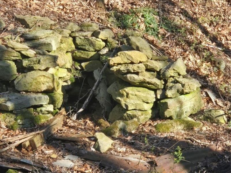 11154 Shetler Avenue SW, Bolivar, OH 44612 Photo 14