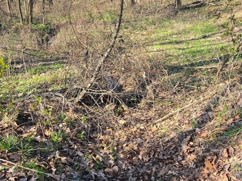 11154 Shetler Avenue SW, Bolivar, OH 44612 Photo 5