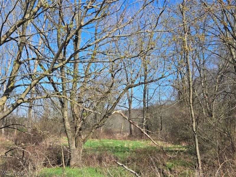 11154 Shetler Avenue SW, Bolivar, OH 44612 Photo 6