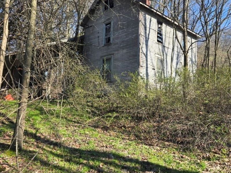 11154 Shetler Avenue SW, Bolivar, OH 44612 Photo 9