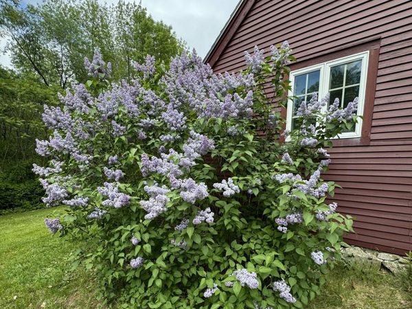 704 Cedar Grove Road, Dresden, ME 04342