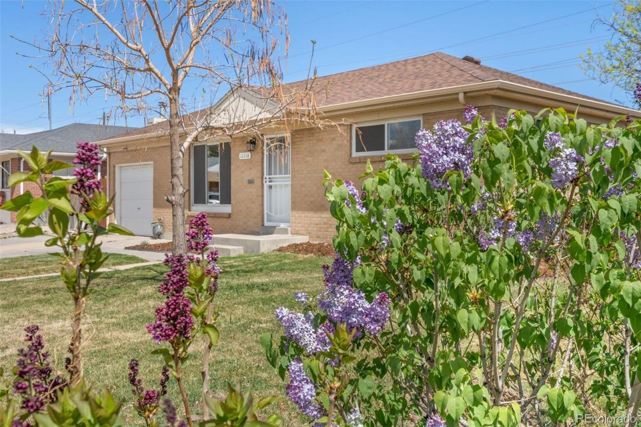 11116 Pearl Street, Northglenn, CO 80233 Main Photo