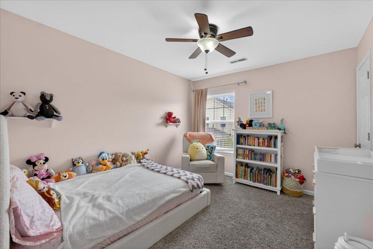 244 Larissa Drive Photo 29