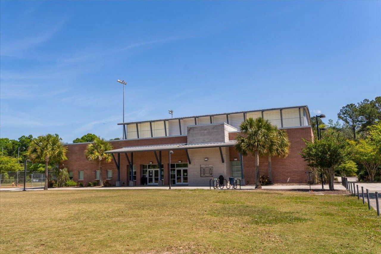 244 Larissa Drive Photo 46